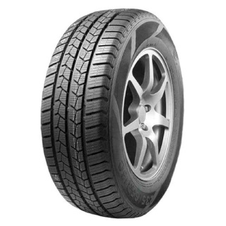 Leao Winter Defender Van (к71)